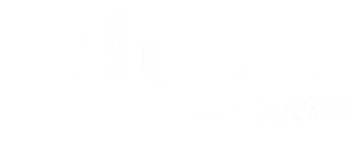 AxioAero Group
